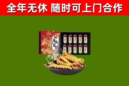 云城区回收冬虫夏草价格