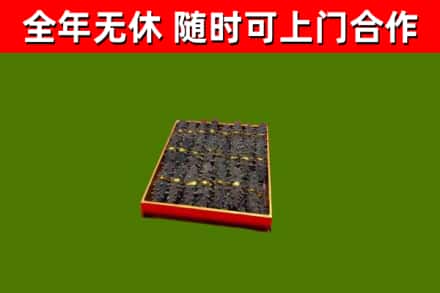 云城区回收海参
